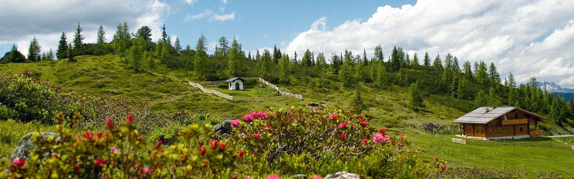 Ausflugsziel & Selbstversorgerhütte Trinkeralm in Forstau, Fageralm