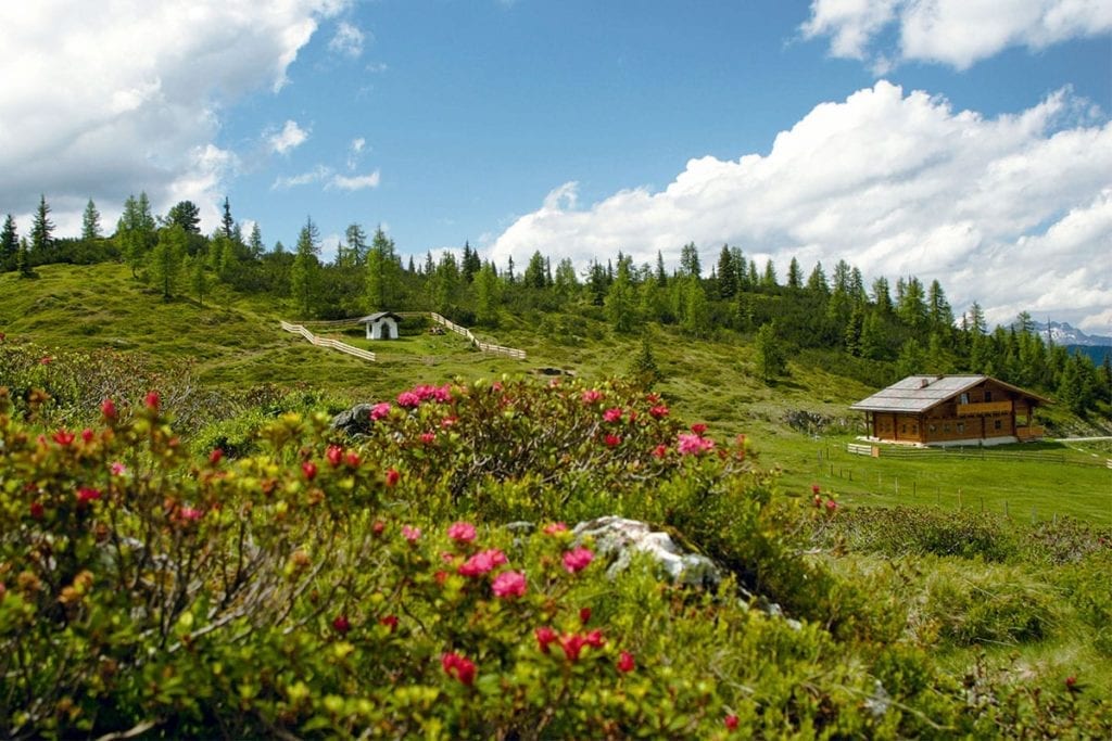 Trinkeralm - Alpengasthof in Forstau, Fageralm