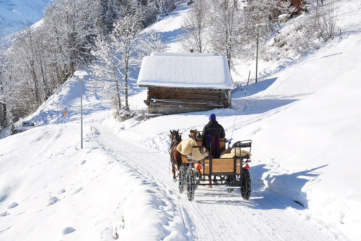 Pferdeschlittenfahrten im Winterurlaub in Forstau, Ski amadé