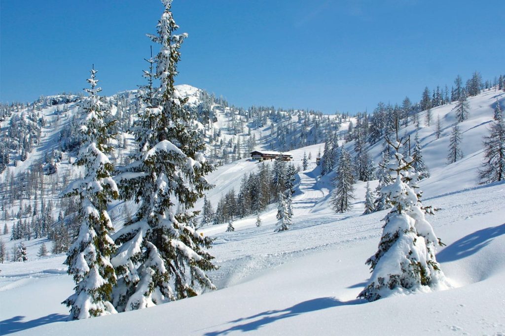 Selbstversorgerhütte im Salzburger Land, Trinkeralm 1